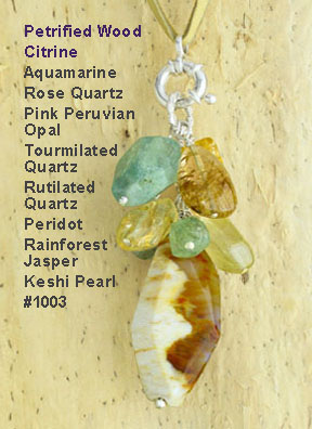 Petrified Wood Citrine Necklace